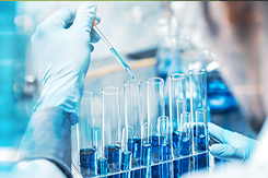 Life Sciences
