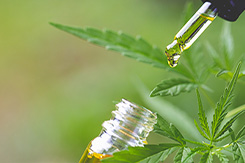 Hemp and CBD